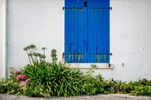 vervolgcursus fotocursus VERVOLG