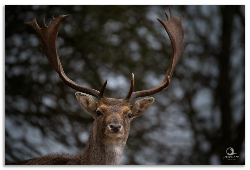 module natuurfotografie