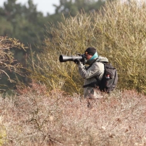 workshop natuurfotografie